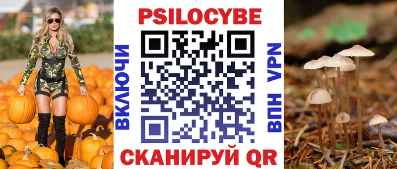 Псилоцибиновые грибы GOLDEN TEACHER  Томари 