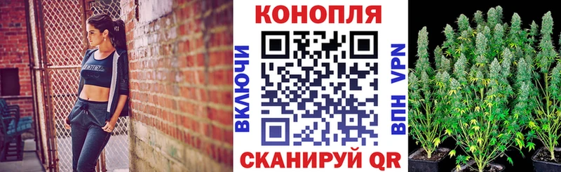купить  цена  Томари  Бошки Шишки планчик 